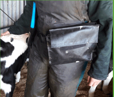 ezTreat Accessory 11 - Calving bag